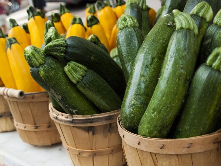 Zucchini