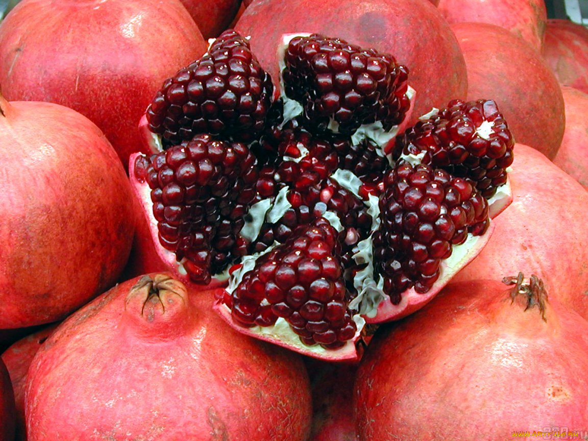 Granatapfel