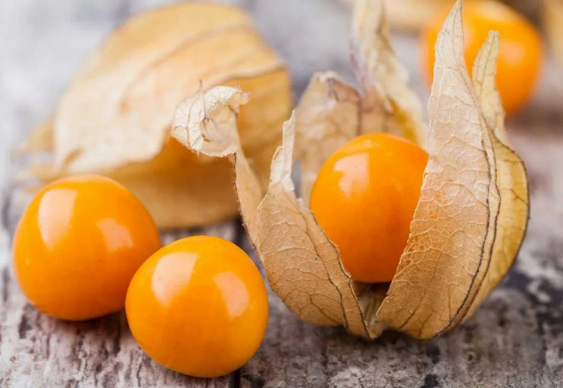 Ποικιλίες Physalis