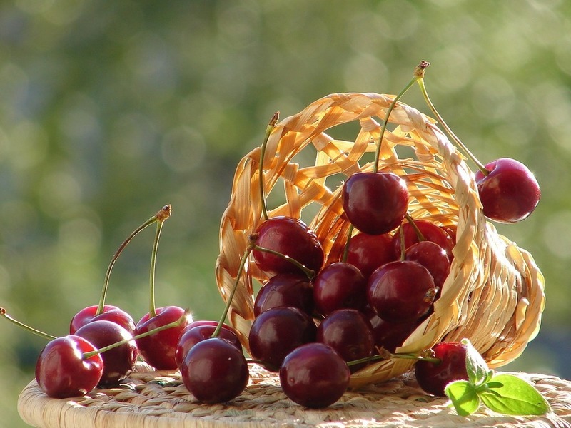 variétés de cerises