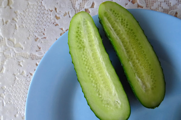 concombre