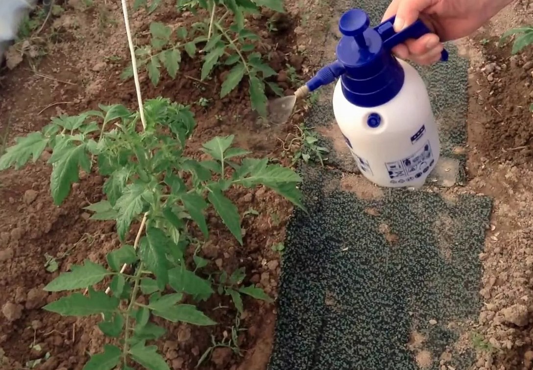 estimulador del crecimiento vegetal