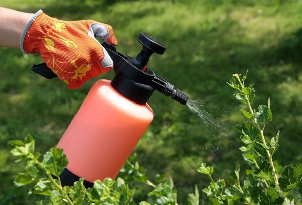 stimulateur de croissance des plantes