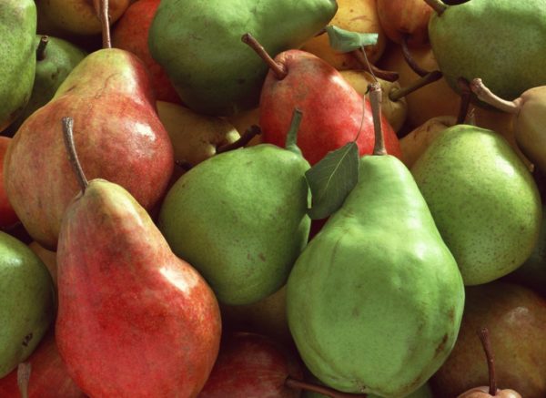 Conservazione delle pere in inverno