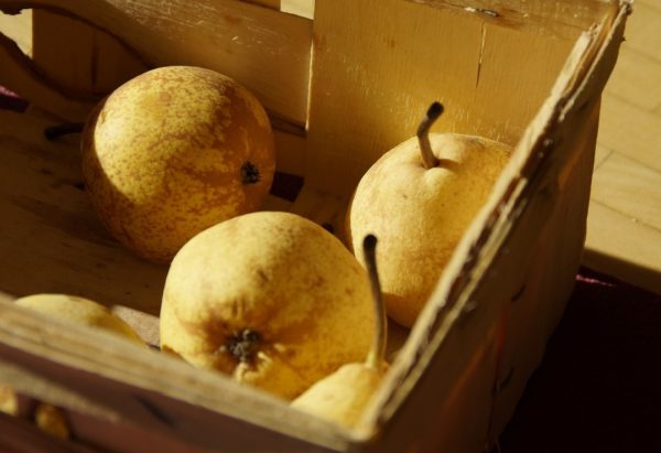 Conservazione delle pere in inverno