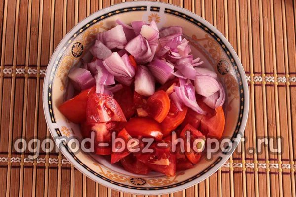 Tomaten und Zwiebeln
