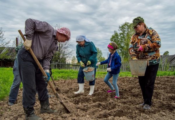 Gartensteuer für Sommergäste ab 2020