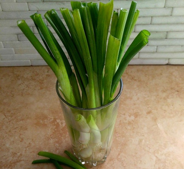 Ne jetez pas les restes de légumes verts.