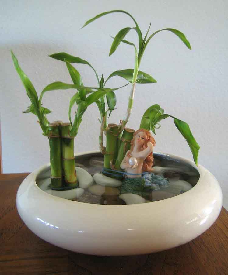 Wachstum im Wasser