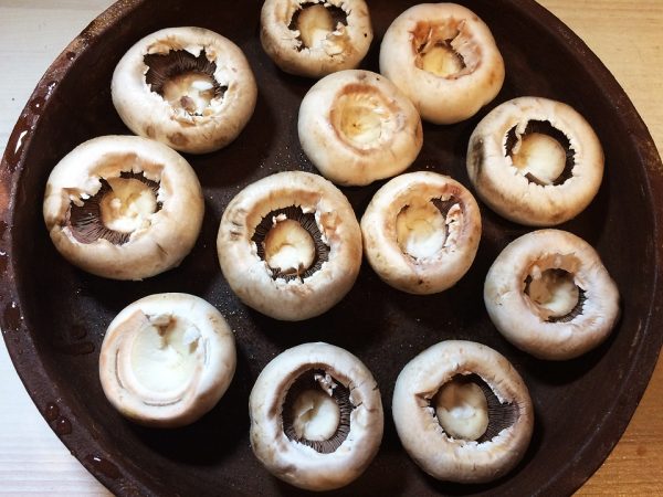 Champignons