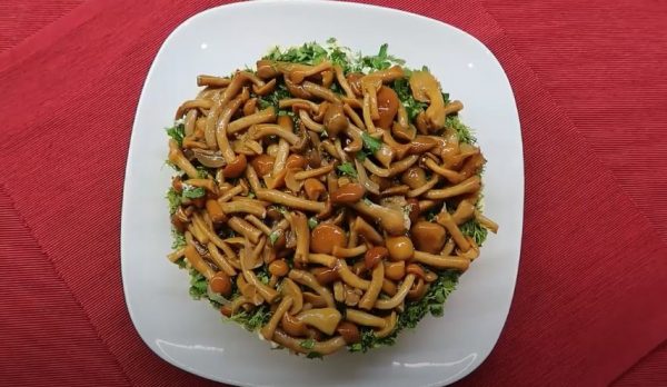 Lisière de la forêt