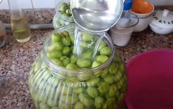 Olives marinées