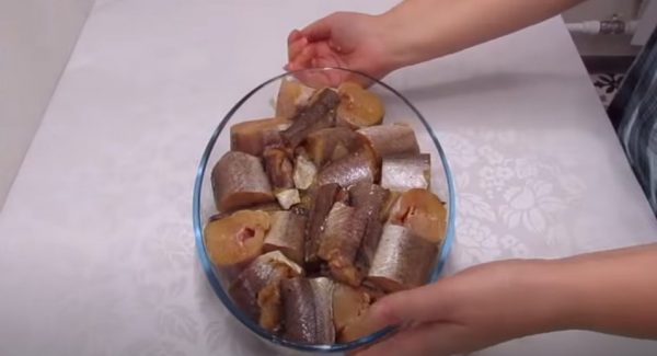 ضعها في القالب