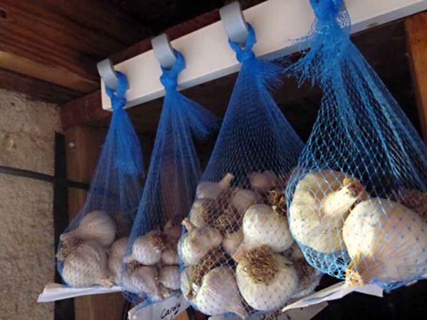 Conservation de l'ail