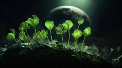 Brotes contra el fondo de la luna