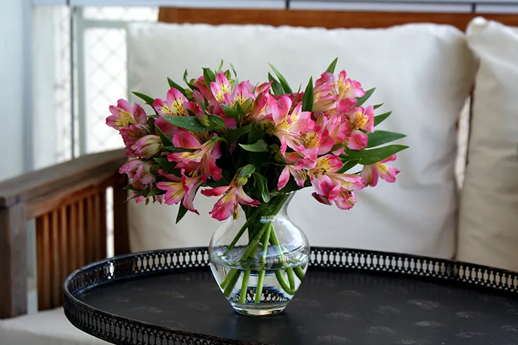 Alstroemeria