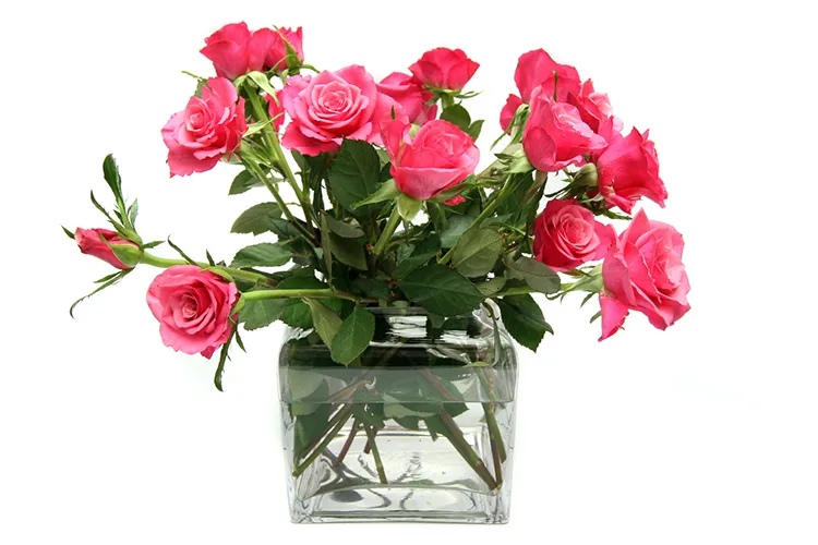 Ein Rosenstrauß